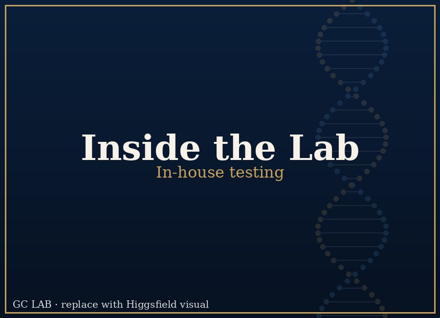 Inside the GC Lab